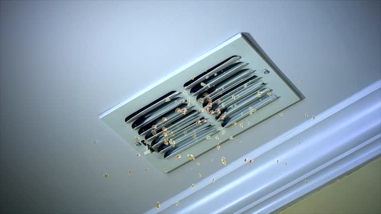 Best Best Air Duct Cleaning Near Me  in Garyville, LA