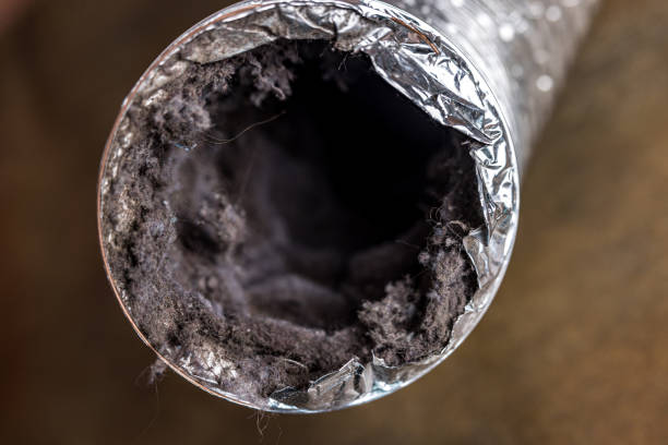 Best Air Vent Cleaning Services  in Garyville, LA